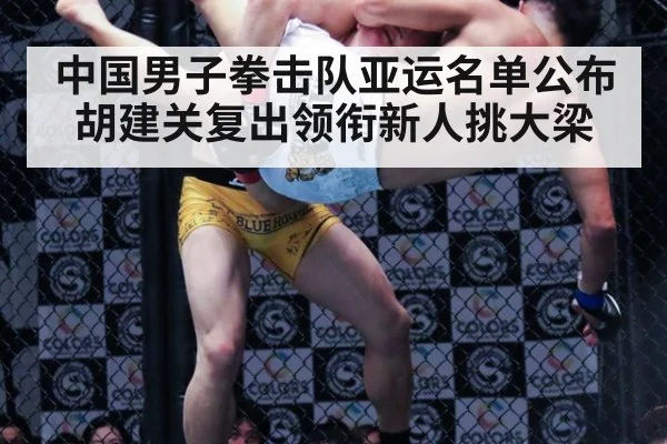 中国男子拳击队亚运名单公布 胡建关复出领衔新人挑大梁